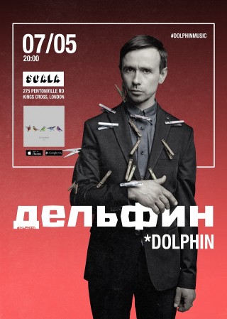 dolphin poster