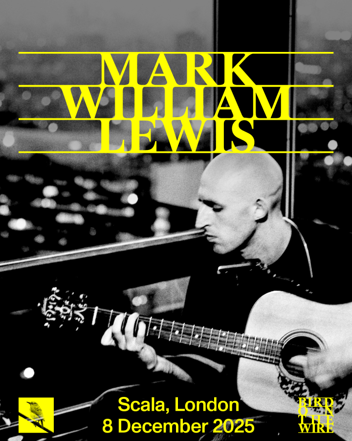 mark william lewis